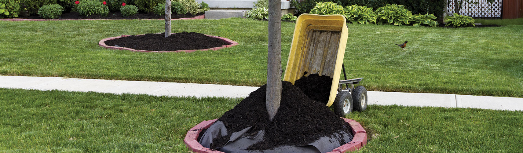 Franklin Lawn Mowing Services, Landscaping Company and Lawn Care Services