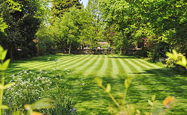 Depot Lawn Care