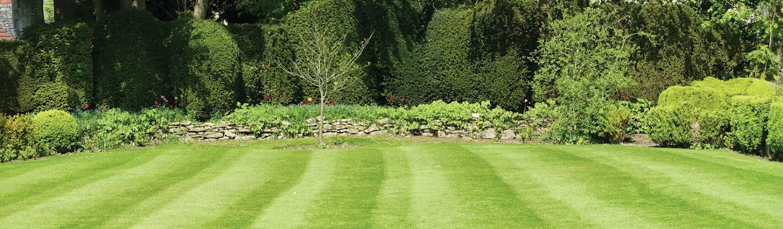 Nashville Lawn Mowing Services, Landscaping Company and Lawn Care Services