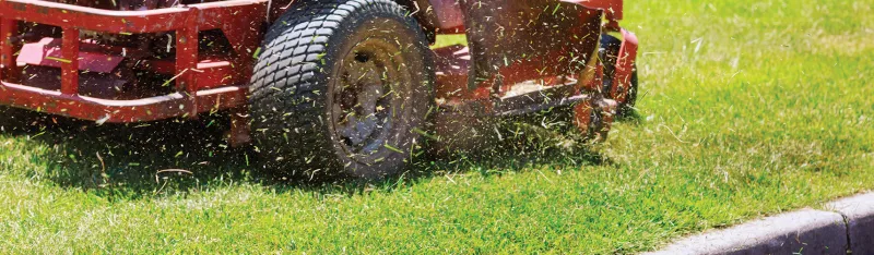 Brentwood Lawn Mowing Services, Landscaping Company and Lawn Care Services
