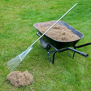 Turf Care