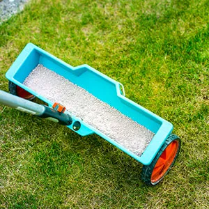 Turf Care