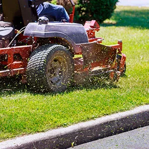 Turf Care