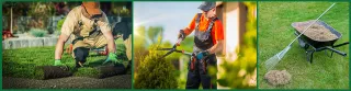 Lawn Mowing
